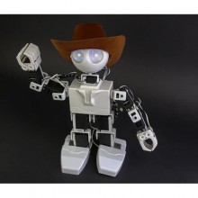 EZ-Robot JD Humanoid Robot+3949
